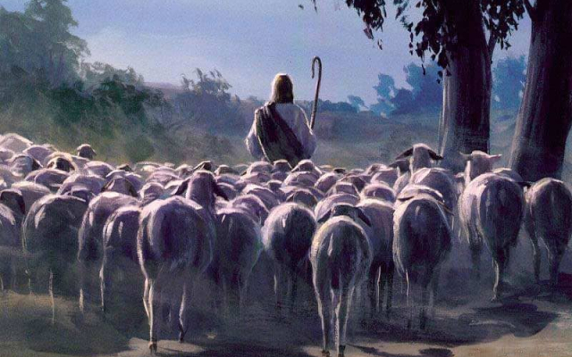 Húsvét 4. vasárnapja